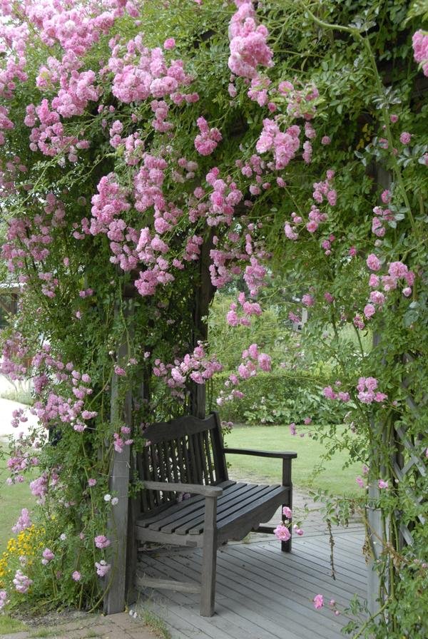 🌸 구마야마 영국정원 (구마야마 에이코쿠 테이엔) 이미지 4